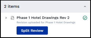  Click Split Review after upload processing completes