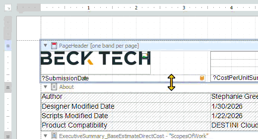resize logo in report 3